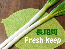 長ネギは購入後こうしておくと❢  新鮮なままキープ