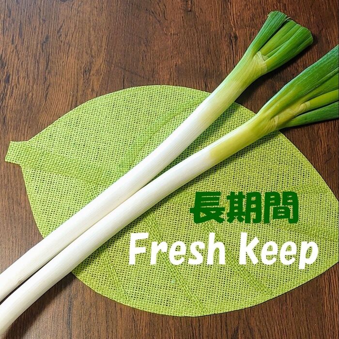 長ネギは購入後こうしておくと❢  新鮮なままキープ
