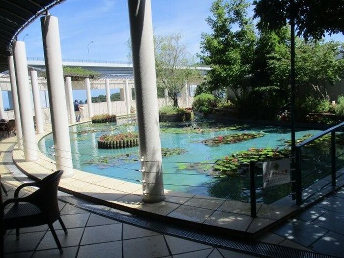 閉鎖感を感じさせない美術館!外の空気も吸ってリフレッシュもできる♡