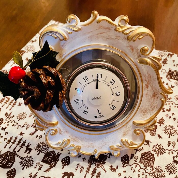 温度管理は大事!目につくゴージャスな温度計が良いですよ(^O^)