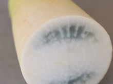 大根買ったら失敗した( ̄▽ ̄;)でも大丈夫♡