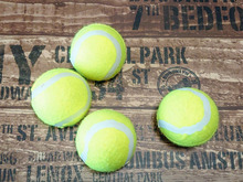 リビングのアレに🎾テニスボールこう使うと便利❢