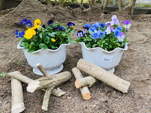 えッ、まさかの寄せ植えをお得にゲット!