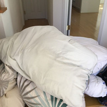 羽毛布団、こう洗ってます。