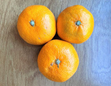 みかんは実は冷凍OK!3パターンの冷凍方法でおいしさを比べてみた♪