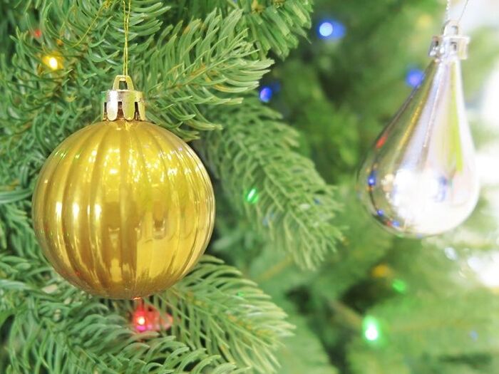 聖なる夜を演出「クリスマスツリー向き樹種」