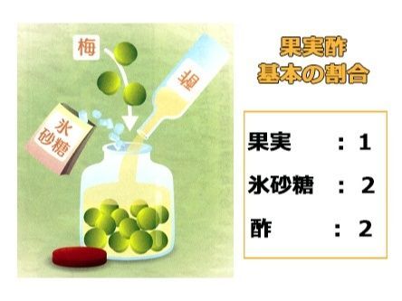 梅の実の果実酢レシピ