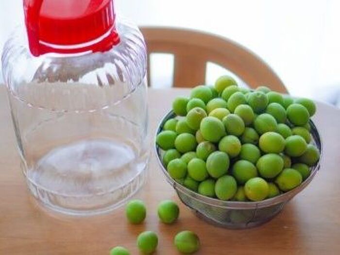 健康維持に効果的な飲み方