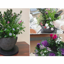 暮らしを彩る″生け花風“寄せ植えのコツ