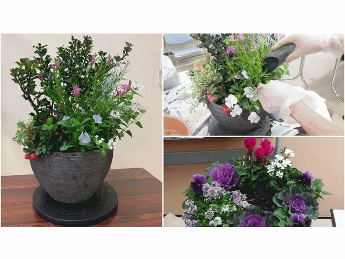 暮らしを彩る″生け花風“寄せ植えのコツ