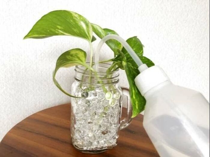 4. 水を入れる