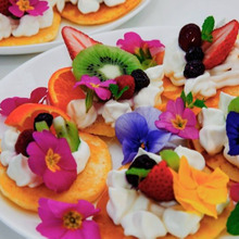 食卓を彩る花と緑のもてなし