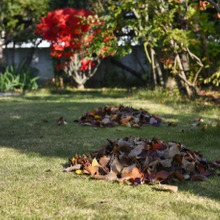 お庭のプロ庭師から学ぶ“庭掃除のコツ"