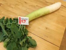 大根×うどんスープ!