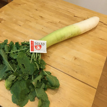 大根×うどんスープ!