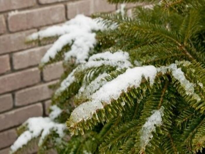 生育に適した環境