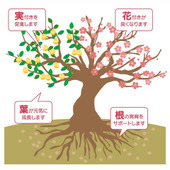 冬の落葉樹に必見!剪定と施肥