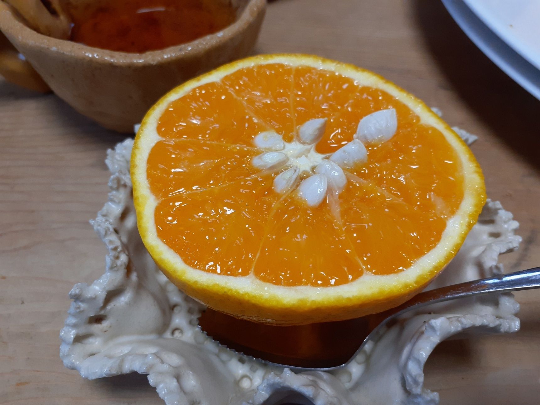  ●自家製柑橘
