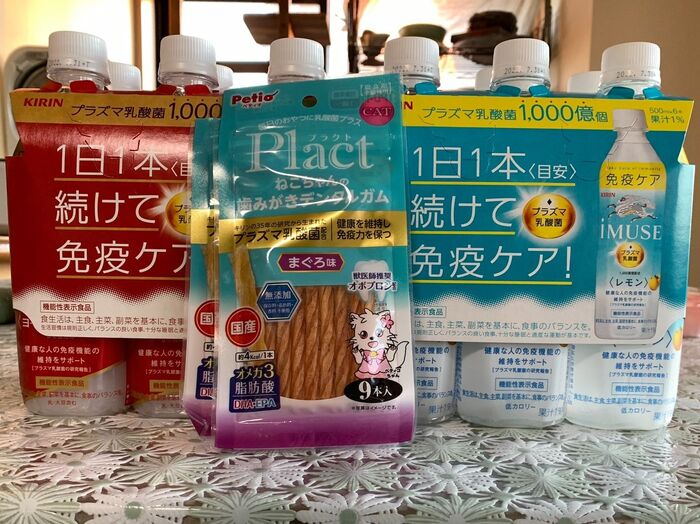 人もペットも!プラズマ乳酸菌で大事な家族の免疫力アップ!