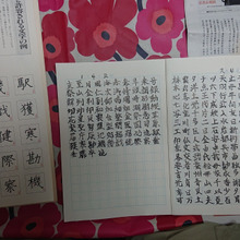 フラッシュ書写の勧め!! 意外とハマる書道あれこれ・・・・