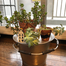 家にある物で♪観葉植物テーブル