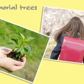 新たなスタートに贈る「記念樹・シンボルツリー」