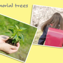 新たなスタートに贈る「記念樹・シンボルツリー」