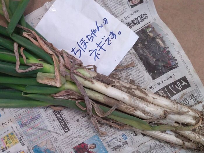 信州アスパラファームさんの美味しいネギ