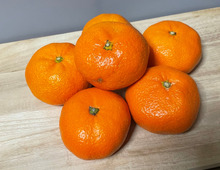 余ったみかんをそのまま食べるのに飽きたら…簡単リメイクで消費量アップ!