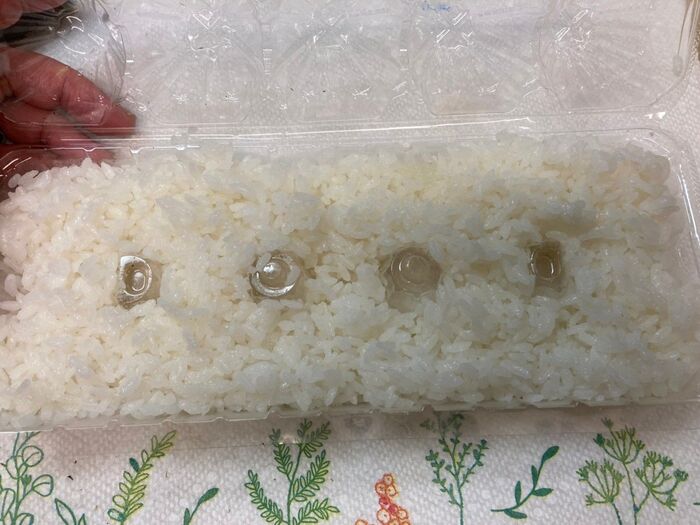 パックの下にご飯を敷き詰める