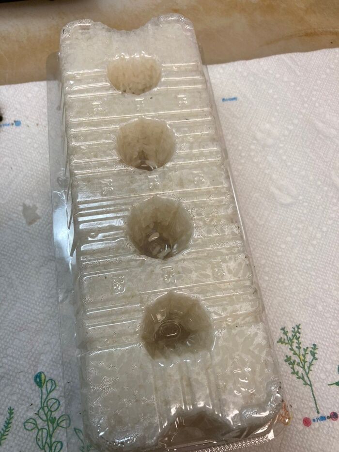 逆さまにするとこんな感じです