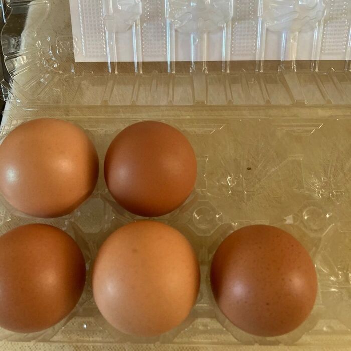 卵の空パック上下を逆さまにして使います