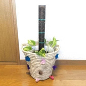 100均グッズで作るおしゃれなポトスタワー!