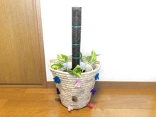 100均グッズで作るおしゃれなポトスタワー!