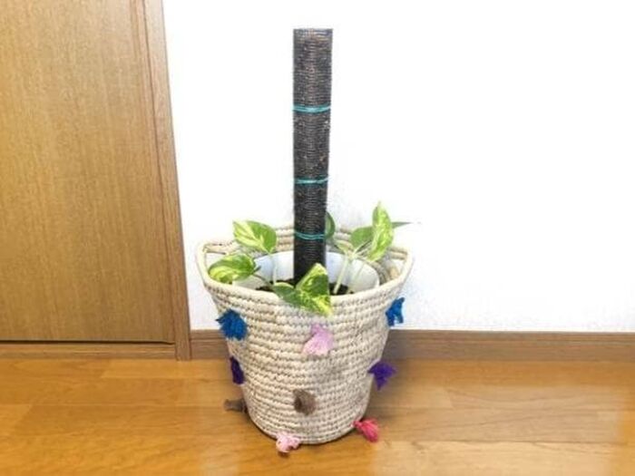100均グッズで作るおしゃれなポトスタワー!