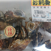 正式名は・・・・(都法螺)ミヤコボラです 💞💓💖💛💓❤