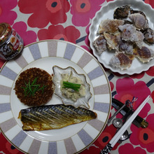 うその肉そぼろ御飯 // 塩サバとクリーミーぬた添え