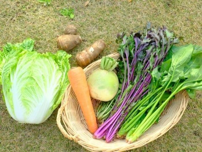 寒い時期に食べたい☆冬に旬を迎える野菜まとめ