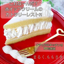 これな~んだ?ホイップクリームのカトラリーレスト⁈他100均ナチュキチの雑貨