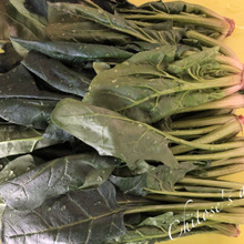 ほうれん草はここに栄養がたっぷり♡