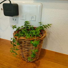 固定電話の基本料金、3年分はいくら?