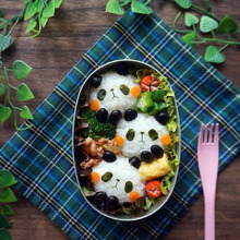 パンダトリオのお弁当