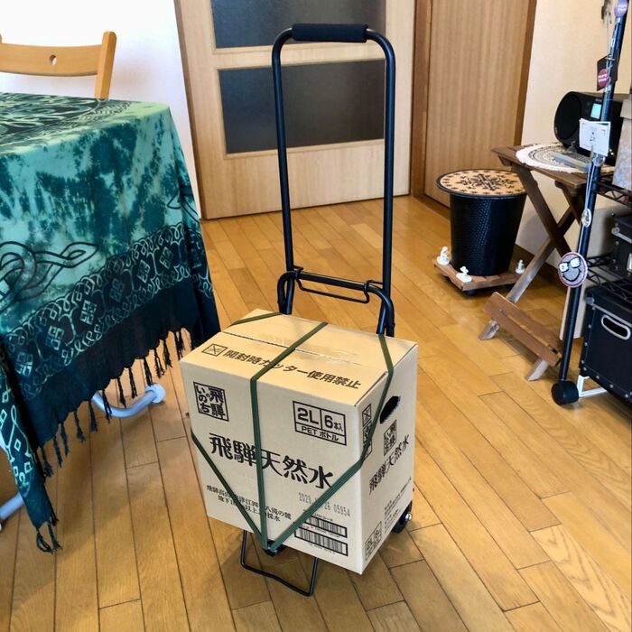 【試してみた!】価格破壊の折り畳みキャリー