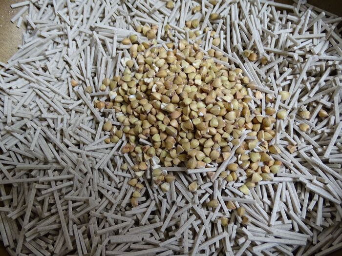 乾麺蕎麦と蕎麦の実