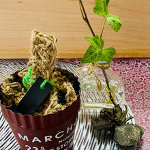 ブリキの鉢でカッコよくバレンタインのラッピング(*^◯^*)