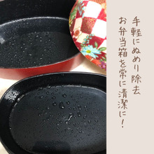 【手軽にぬめり除去】子どものお弁当箱のぬめり除去&除菌にはアルカリ電解水が効果的