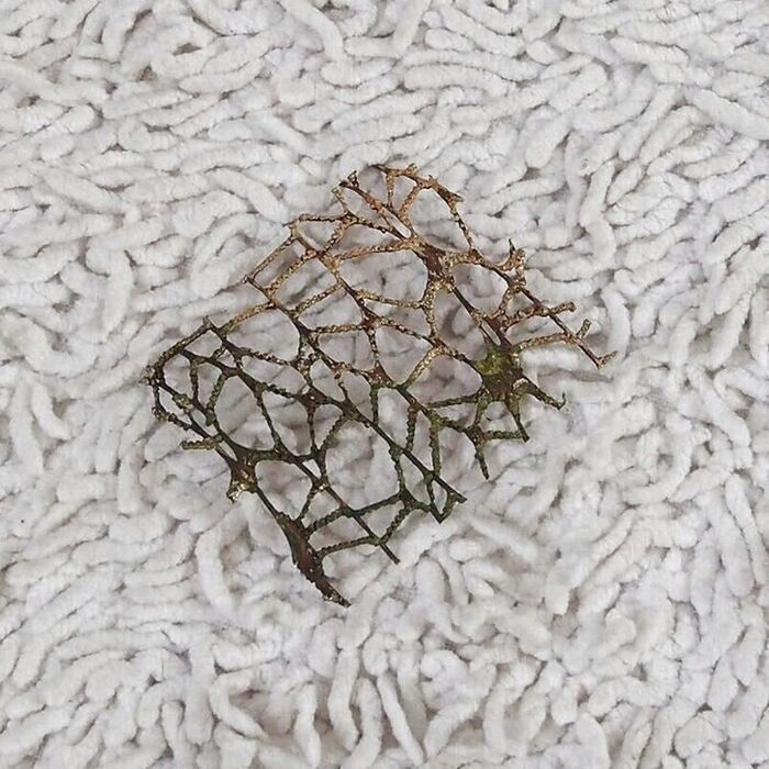 物足りないので、、、、、このリボンを追加しました!