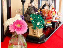 Seria|お花のカタチのガラス花びん