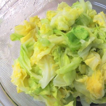 今が旬!春キャベツは普通のキャベツと何が違う?