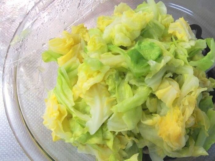 今が旬!春キャベツは普通のキャベツと何が違う?